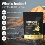 Charger l'image dans la galerie, Gummies Shilajit Himalayen
